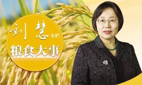 表皮变硬的疹子-硬皮疹身上儿童网 - 为你提供儿童硬皮病有什么症状图片、宝宝身上硬硬的皮疹